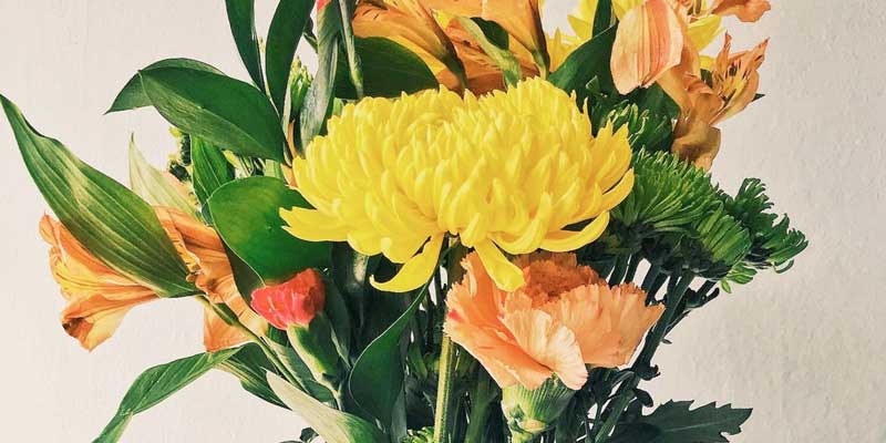 Belfast Florist