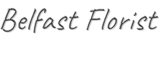 Belfast Florist